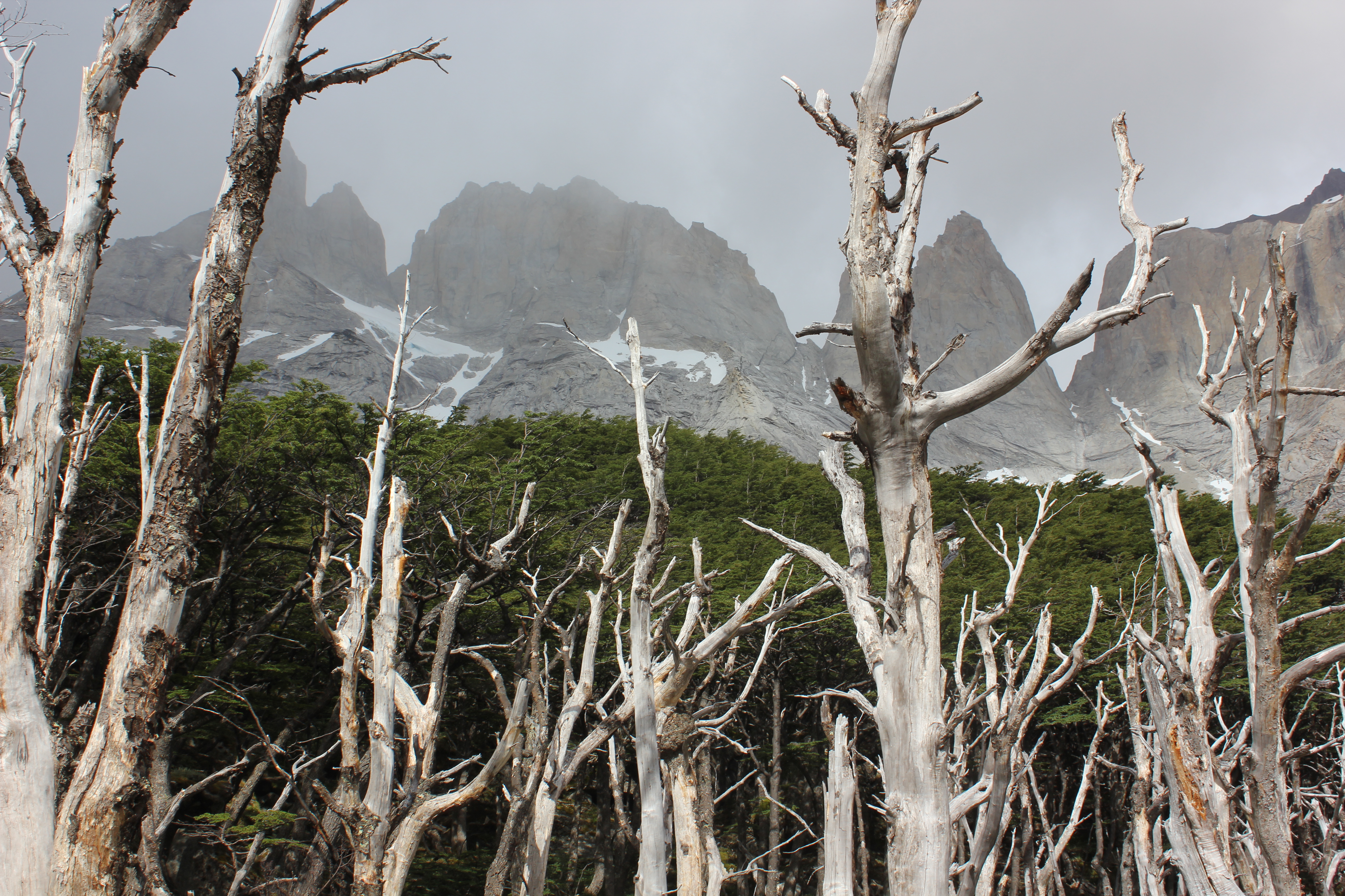 12 - Arentina - 7 - Torres del Paine 085