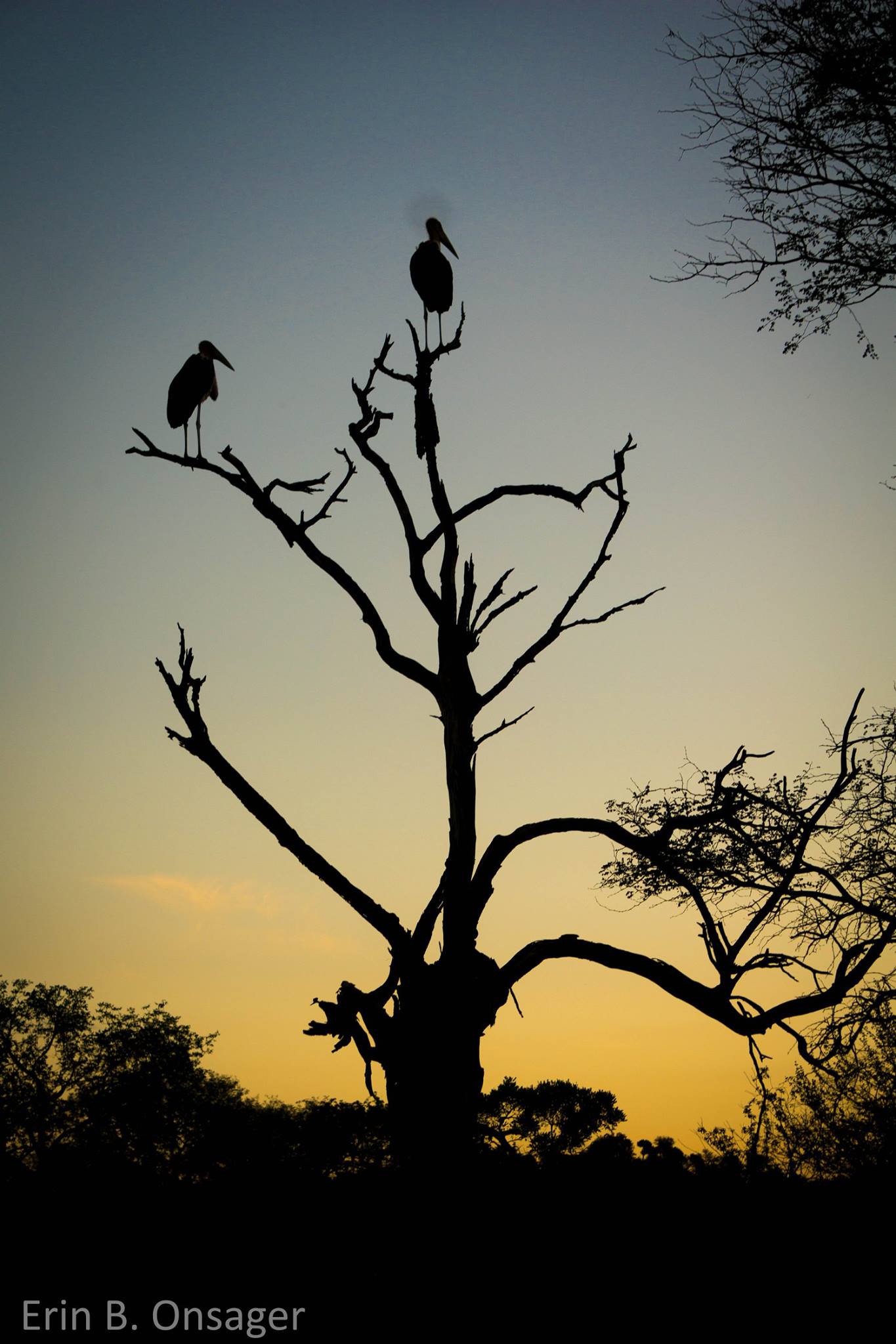 16300489_10101086850180350_3551131675504666355_o