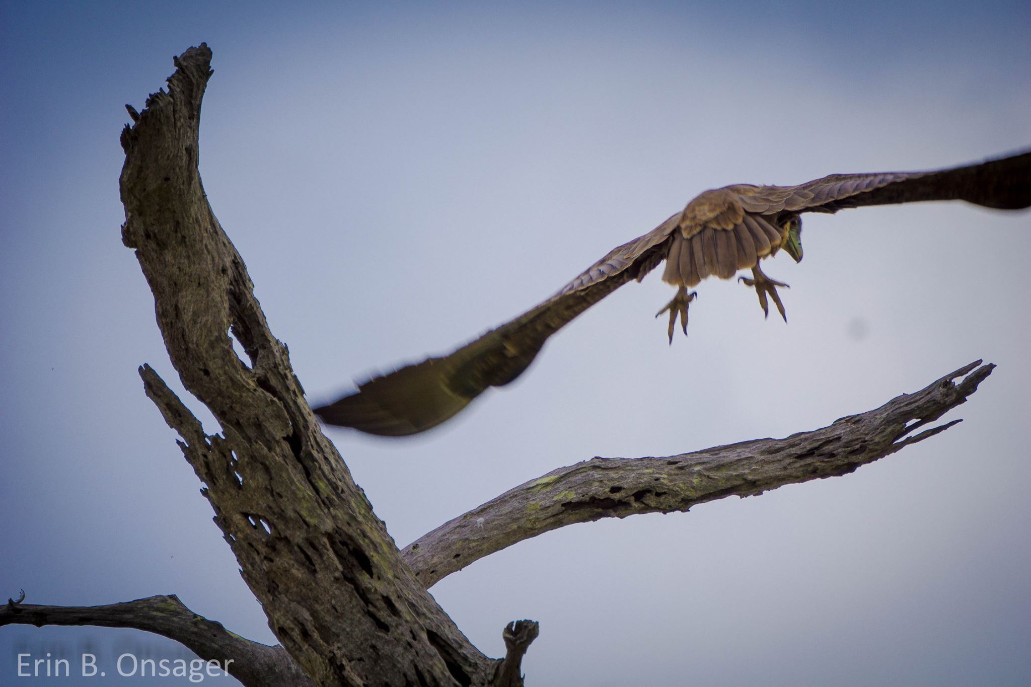 16463297_10101086850953800_3482482515908260695_o