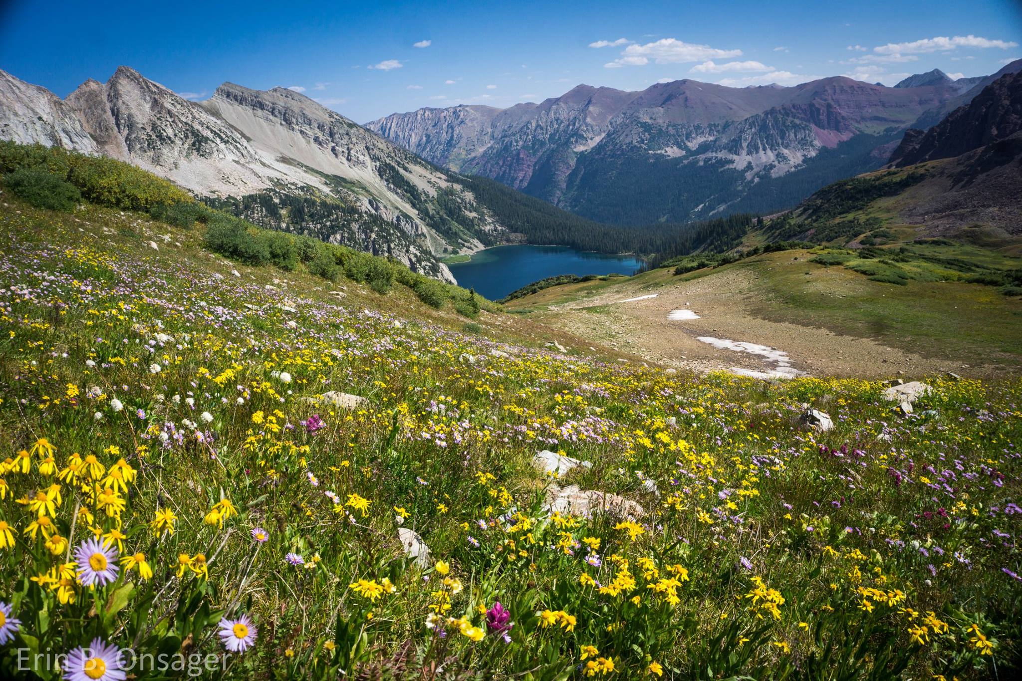 21949769_10101329602682390_6783814694850064729_o